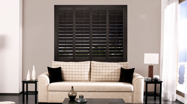 Cleveland living room with black shutters.